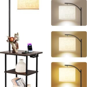 PESRAE Floor Lamp Charging Station 3 Color LED