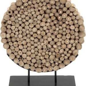 Teak Wood Abstract Sculpture with Black Stand, Brown