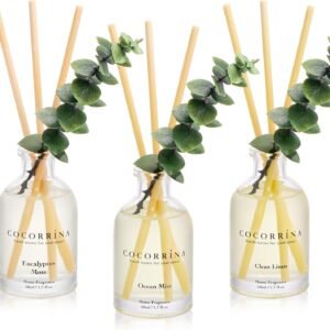 COCORRÍNA Reed Diffuser Set 3 Eucalyptus Home Office