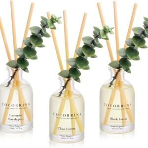COCORRÍNA Reed Diffuser Set of 3 Eucalyptus (7 words)